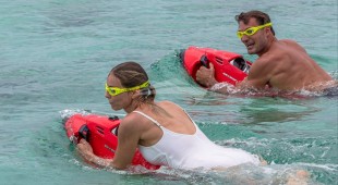 Highlander Caribbean, East Mediterranean, West Mediterranean