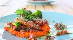 Honeybird East Mediterranean