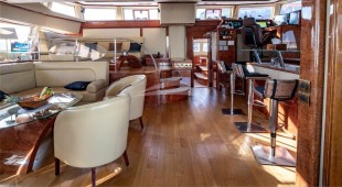 Houbara Caribbean, West Mediterranean