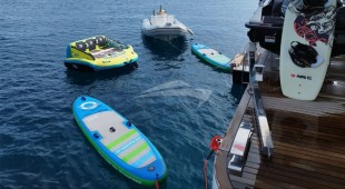 Houbara Caribbean, West Mediterranean