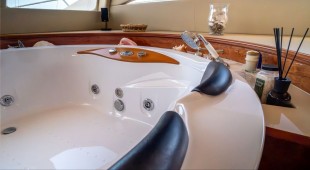 Houbara Caribbean, West Mediterranean