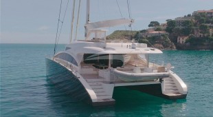 Houbara Caribbean, West Mediterranean