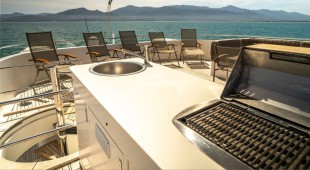 Houbara Caribbean, West Mediterranean