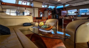 Houbara Caribbean, West Mediterranean