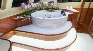 Houbara Caribbean, West Mediterranean