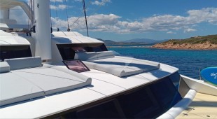 Houbara Caribbean, West Mediterranean