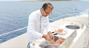 Houbara Caribbean, West Mediterranean