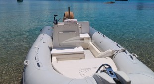 Houbara Caribbean, West Mediterranean