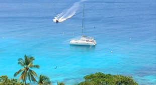 Illusion Caribbean