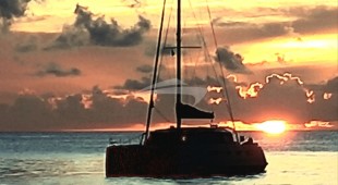 Illusion Caribbean