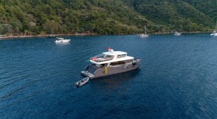 Impact East Mediterranean