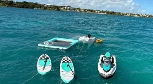 Jackalope Caribbean