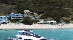 Jan's Feline Caribbean