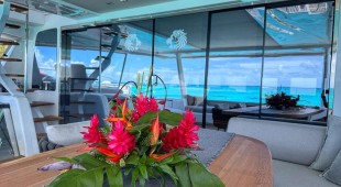 Jan's Feline Caribbean