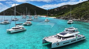 Jan's Feline Caribbean