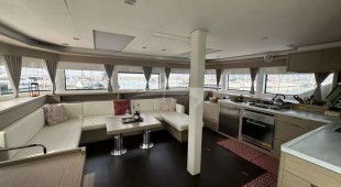 Jellyfish West Mediterranean