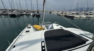 Jellyfish West Mediterranean