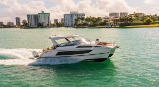 Joy West Mediterranean