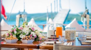 Kaptan Sevket East Mediterranean