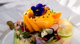 Knead It East Mediterranean, West Mediterranean