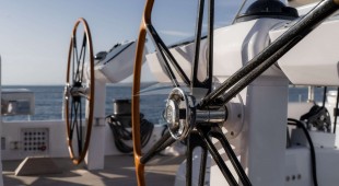 L Hippocampe Caribbean, East Mediterranean, West Mediterranean