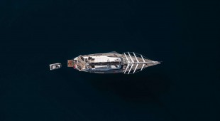 L Hippocampe Caribbean, East Mediterranean, West Mediterranean