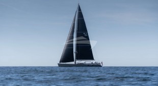 L Hippocampe Caribbean, East Mediterranean, West Mediterranean