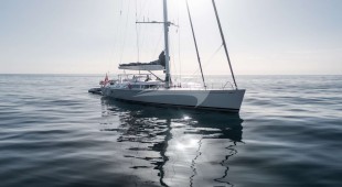 L Hippocampe Caribbean, East Mediterranean, West Mediterranean