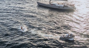 L Hippocampe Caribbean, East Mediterranean, West Mediterranean