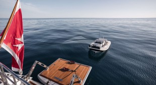 L Hippocampe Caribbean, East Mediterranean, West Mediterranean