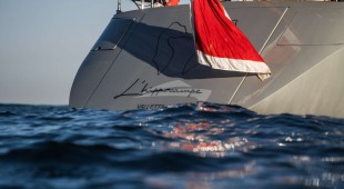 L Hippocampe Caribbean, East Mediterranean, West Mediterranean