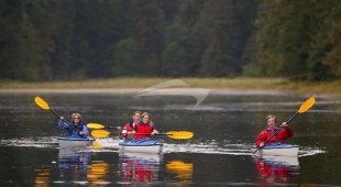 L'albatros East Mediterranean, West Mediterranean