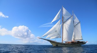 Lamima South East Asia, Indonesia