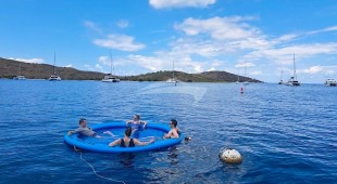 Laurel Lee Caribbean