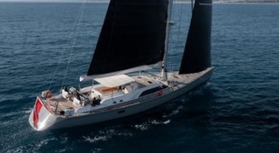 L'hippocampe Caribbean