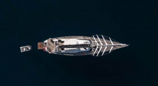 L'hippocampe Caribbean