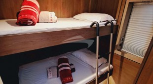 Loba Do Mar Caribbean