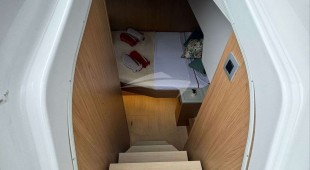 Loba Do Mar Caribbean