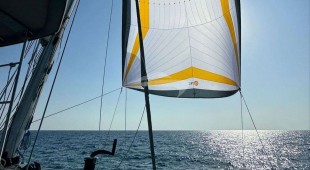 Loba Do Mar Caribbean