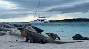 Location 5.4 (drift For 2026) Bahamas