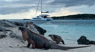 Location 5.4 Caribbean