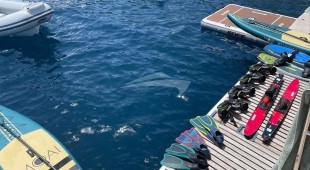 Looma Caribbean, West Mediterranean