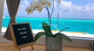 Luna Caribbean