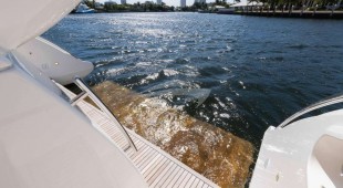 Lupo Caribbean, East Coast United States