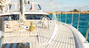 Mellivora West Mediterranean