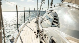 Mellivora West Mediterranean