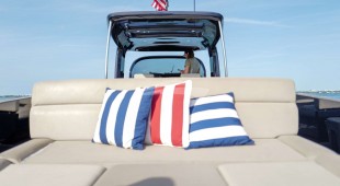 Merlin East Coast United States