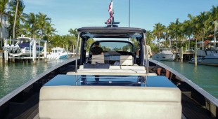 Merlin East Coast United States