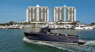 Merlin East Coast United States