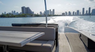 Merlin East Coast United States